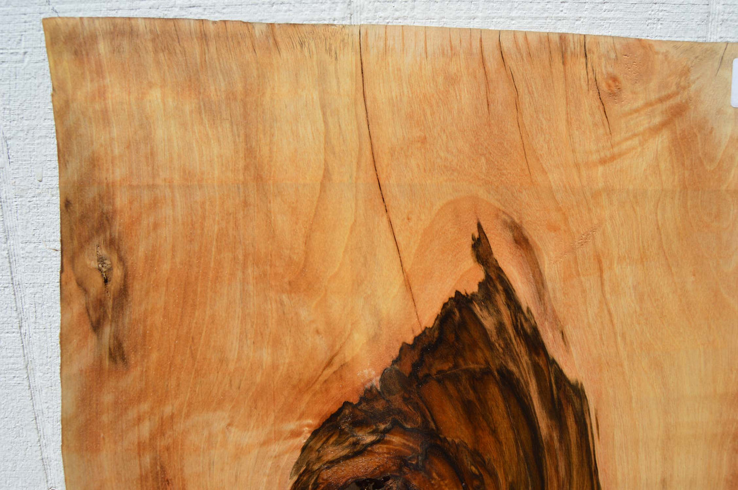 English Walnut Specialty Piece ENGSPC50