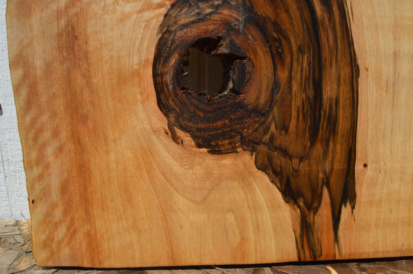 English Walnut Specialty Piece ENGSPC50