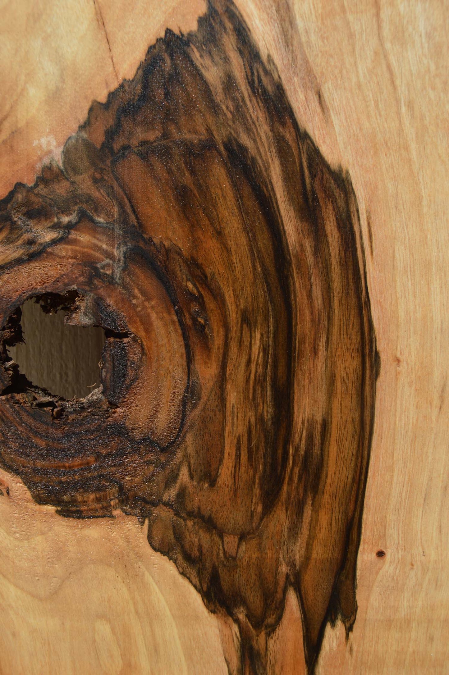 English Walnut Specialty Piece ENGSPC50