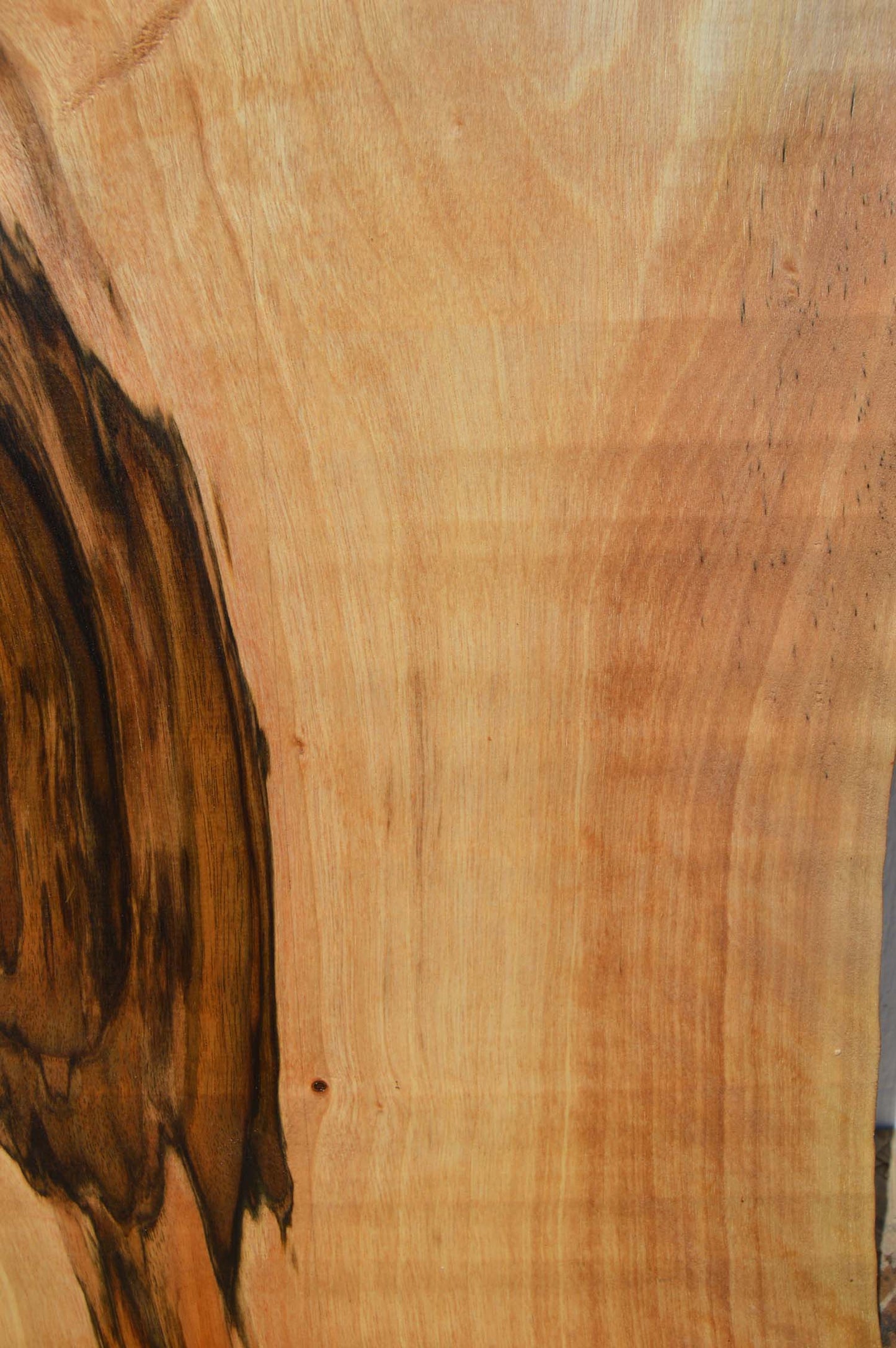 English Walnut Specialty Piece ENGSPC50