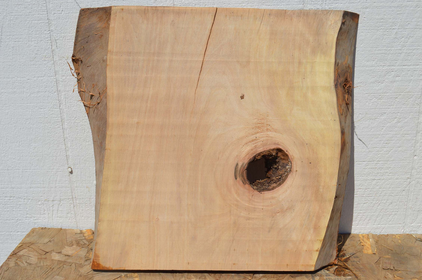 English Walnut Specialty Piece ENGSPC50
