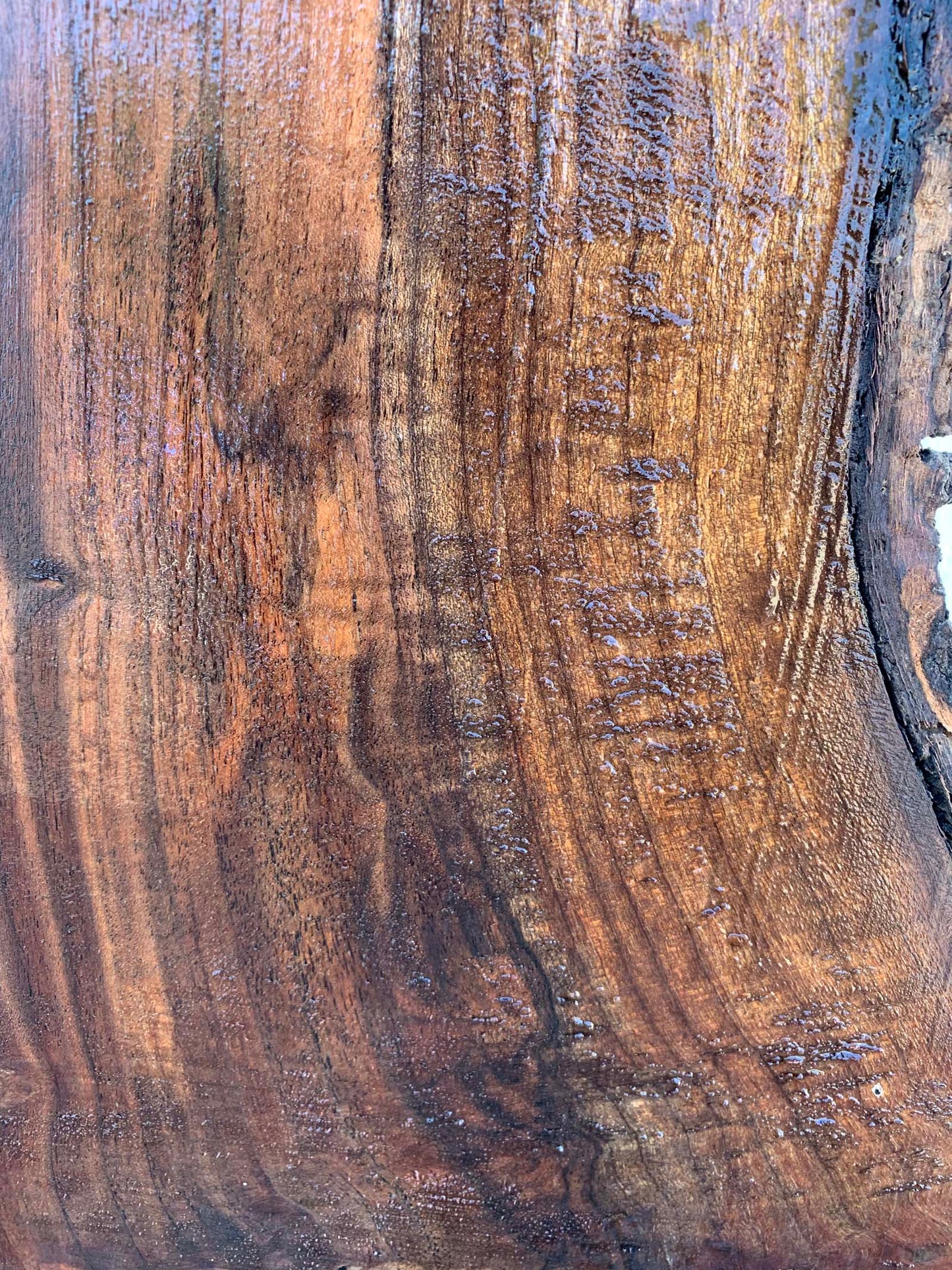 Claro Walnut Specialty Piece CLASPC345