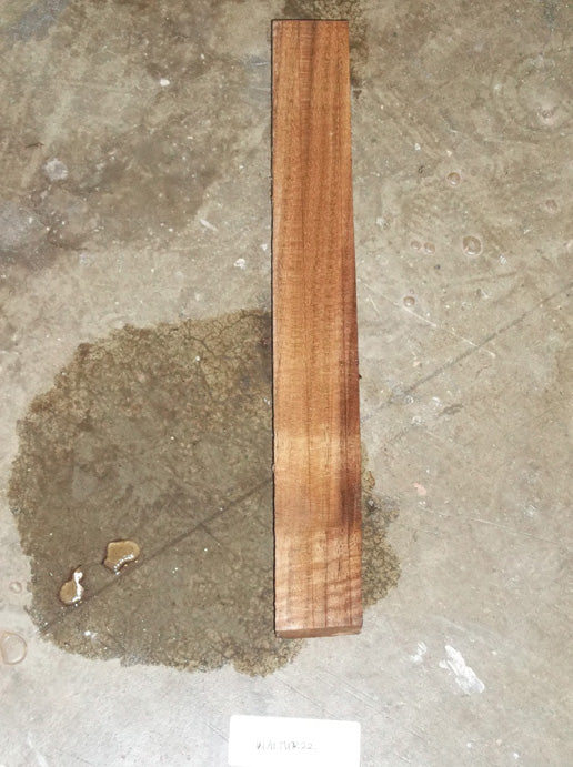 Walnut Turning Blank WALTUR22
