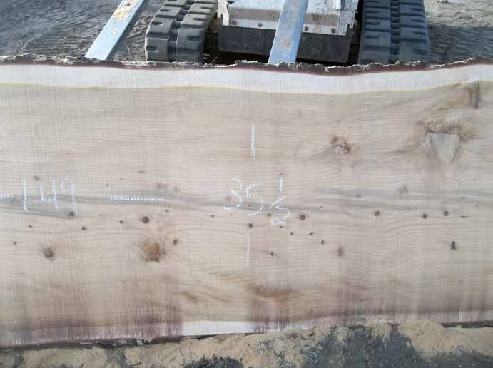 Cedar Slab CEDSLB2G