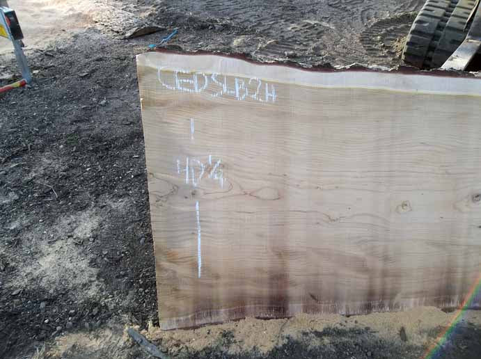 Cedar Slab CEDSLB2H
