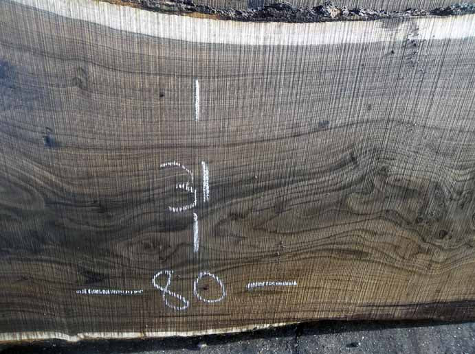 Walnut Slab WALSLB63B