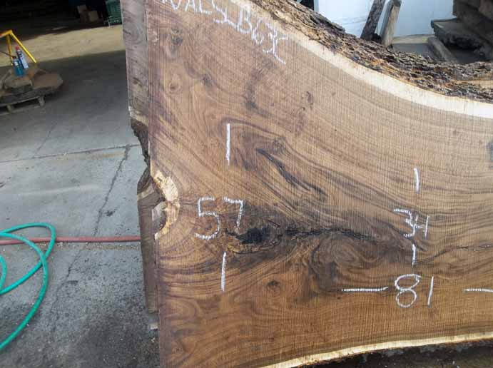 Walnut Slab WALSLB63C