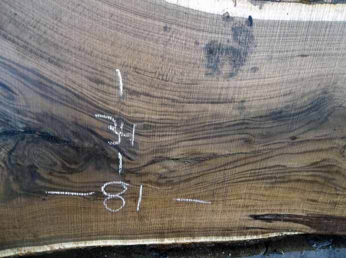 Walnut Slab WALSLB63C