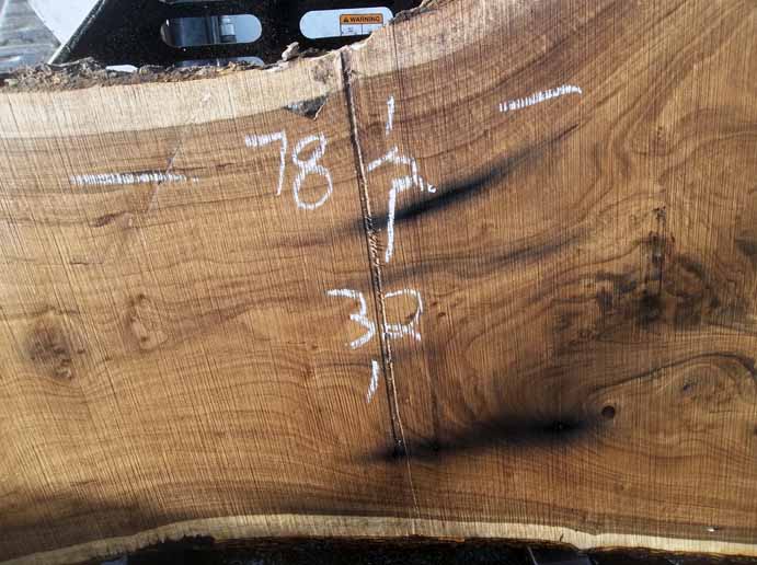 Walnut Slab WALSLB63F