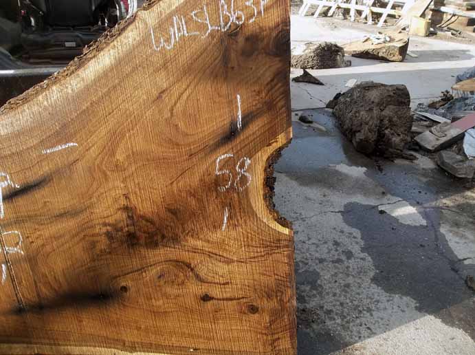 Walnut Slab WALSLB63F