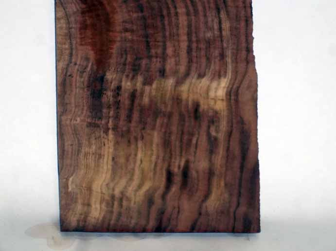 Claro Walnut Craft Wood WALSPC151