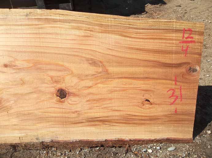 Redwood Slab REDSLB2A