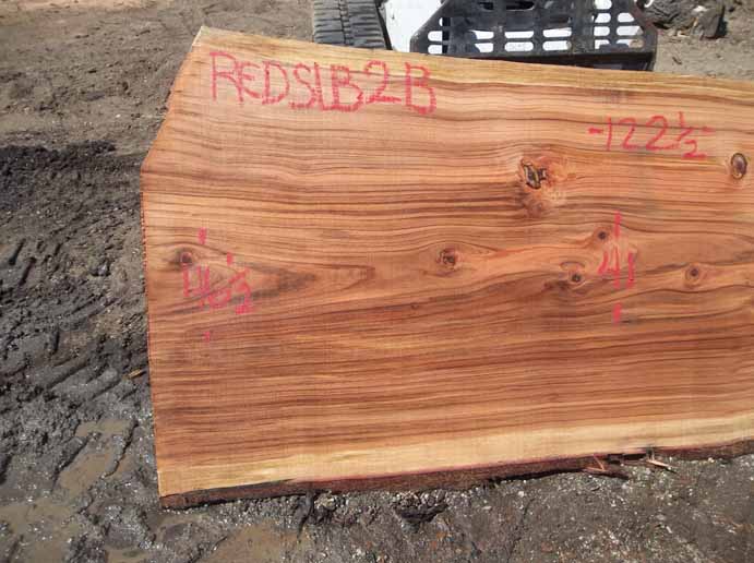 Redwood Slab REDSLB2B