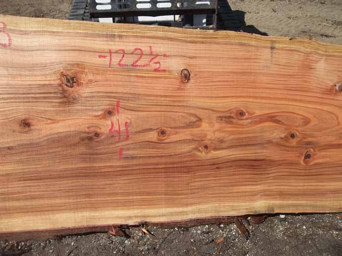Redwood Slab REDSLB2B