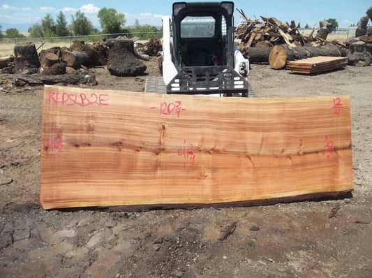 Redwood Slab REDSLB2E