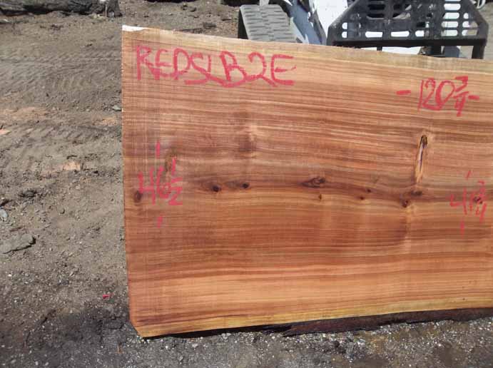 Redwood Slab REDSLB2E