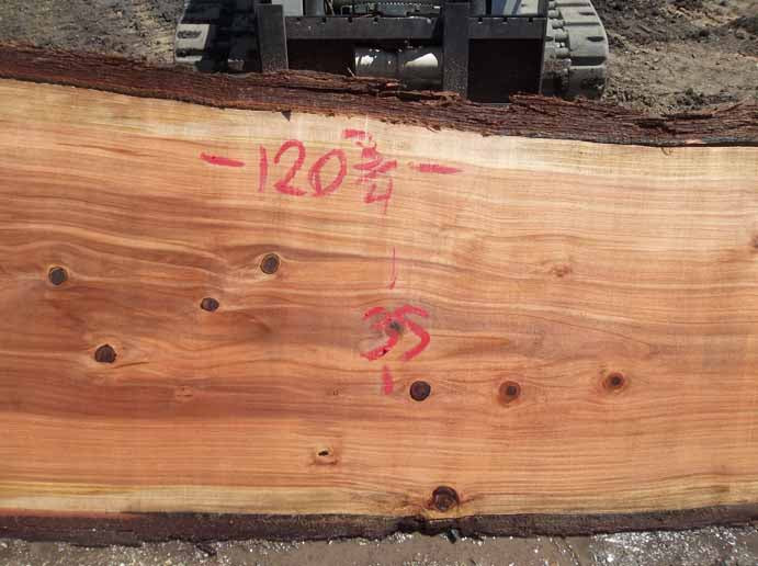 Redwood Slab REDSLB2G