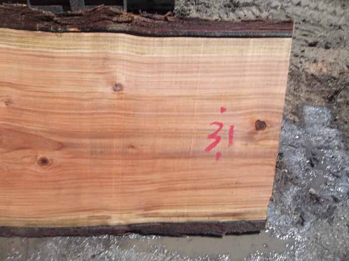 Redwood Slab REDSLB2G