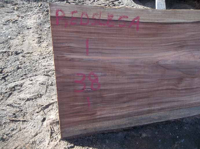 Redwood Slab REDSLB5A