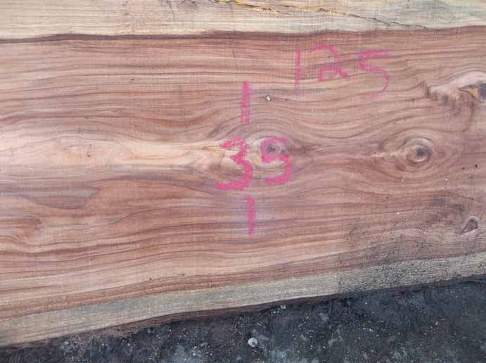 Redwood Slab REDSLB5A