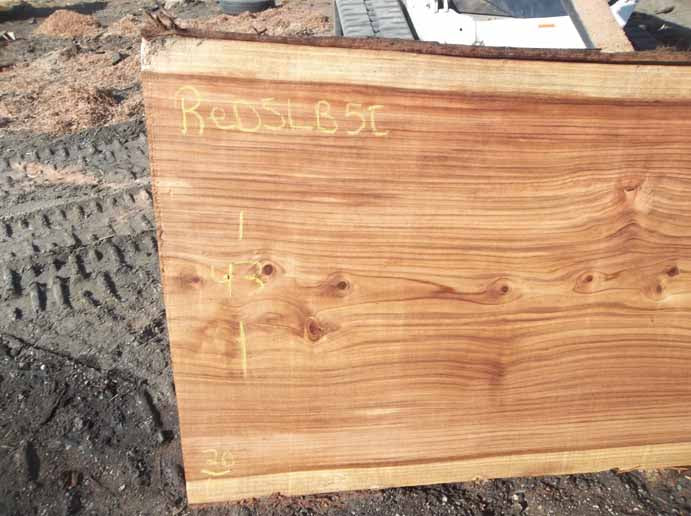Redwood Slab REDSLB5C