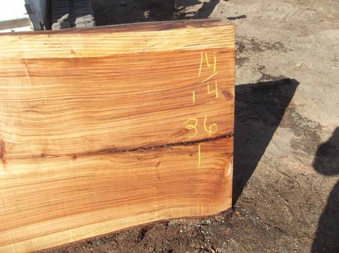 Redwood Slab REDSLB5C