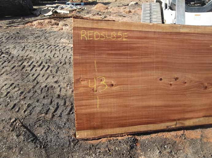Redwood Slab REDSLB5E