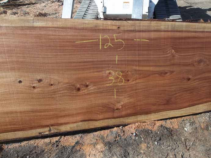 Redwood Slab REDSLB5E
