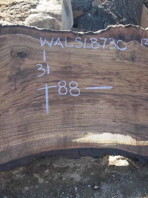 Walnut Slab WALSLB73C