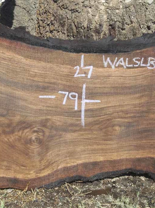 Walnut Slab WALSLB73F