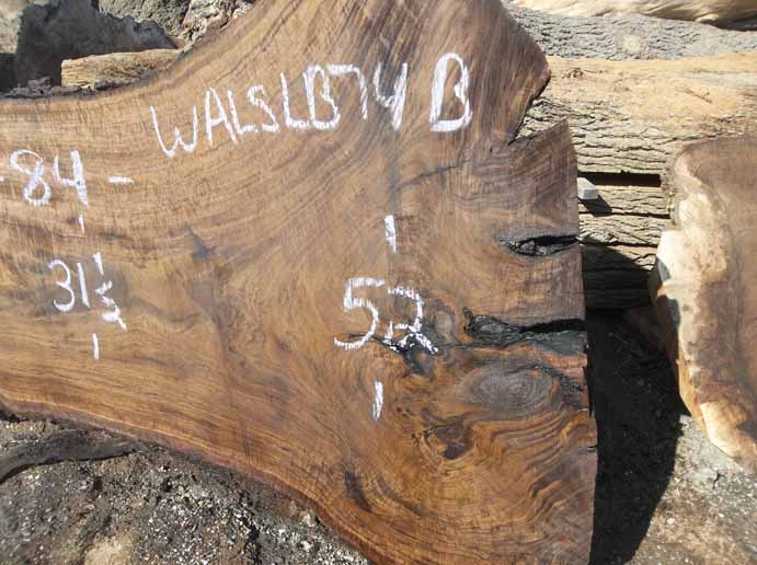 Walnut Slab WALSLB74B