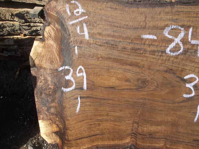 Walnut Slab WALSLB74C