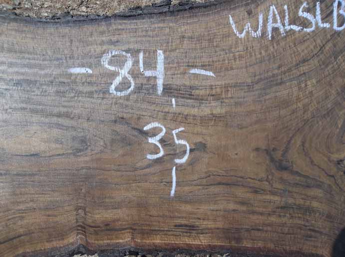 Walnut Slab WALSLB74C