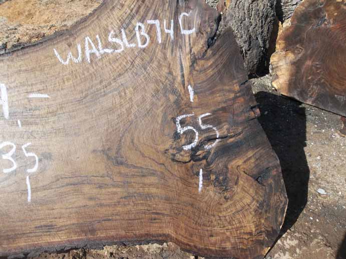 Walnut Slab WALSLB74C