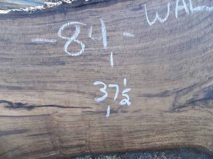 Walnut Slab WALSLB74D