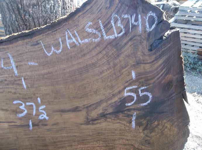 Walnut Slab WALSLB74D