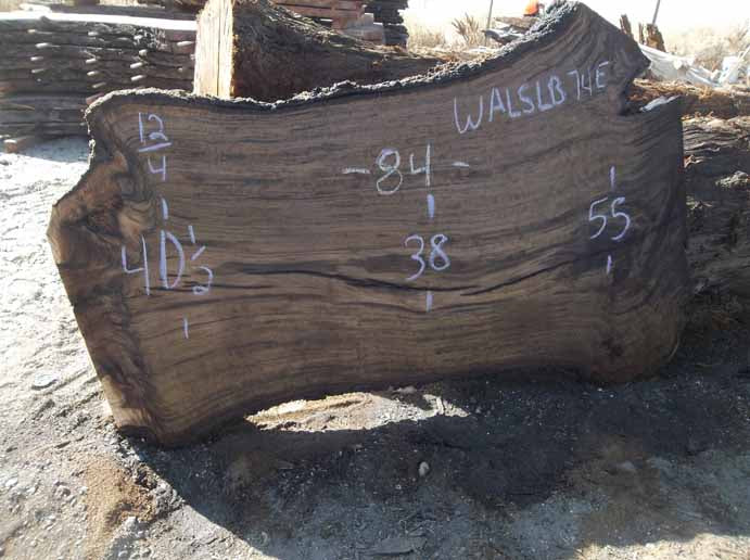 Walnut Slab WALSLB74E