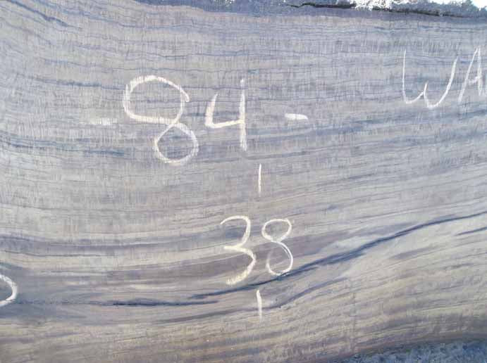 Walnut Slab WALSLB74F