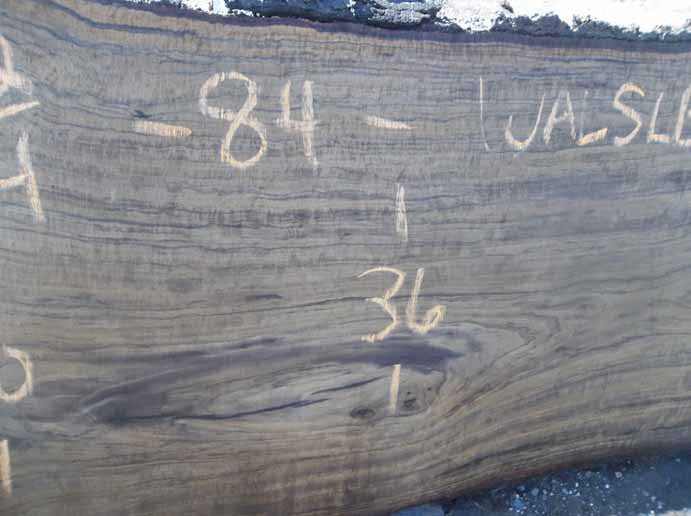 Walnut Slab WALSLB74G