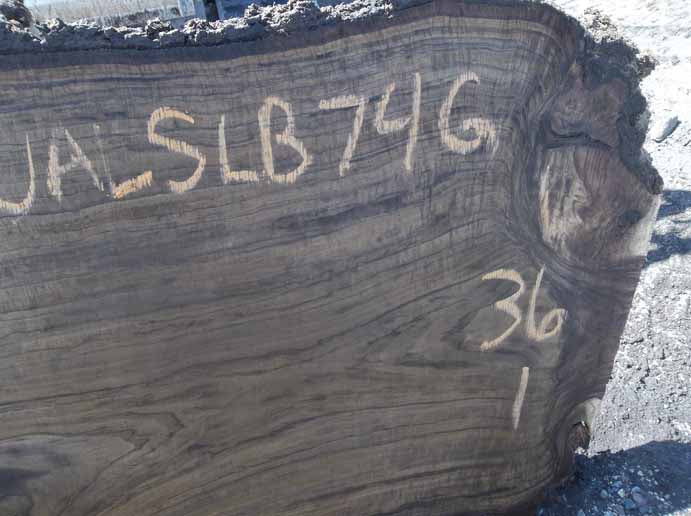 Walnut Slab WALSLB74G