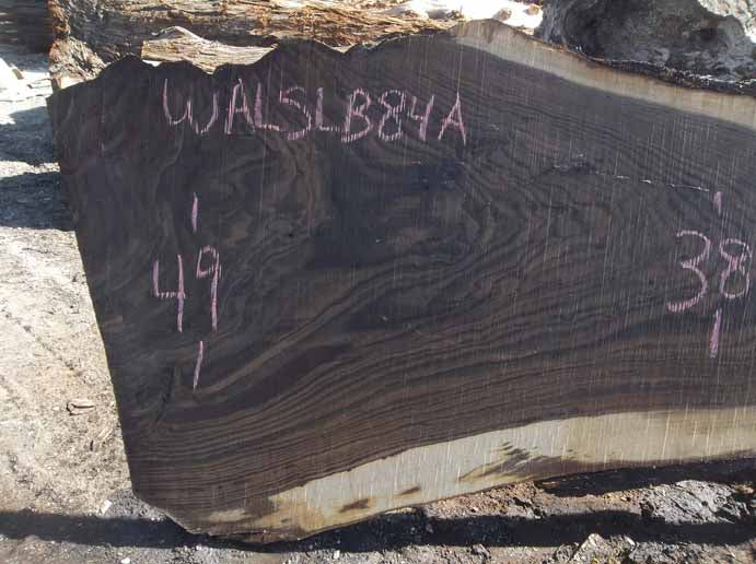 Walnut Slab WALSLB84A