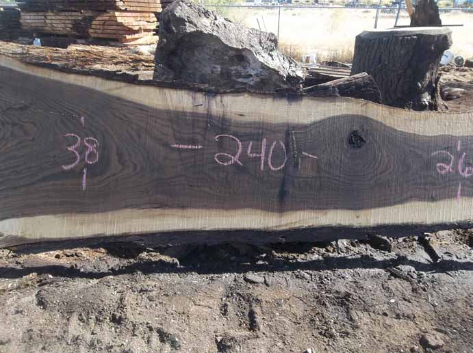 Walnut Slab WALSLB84A