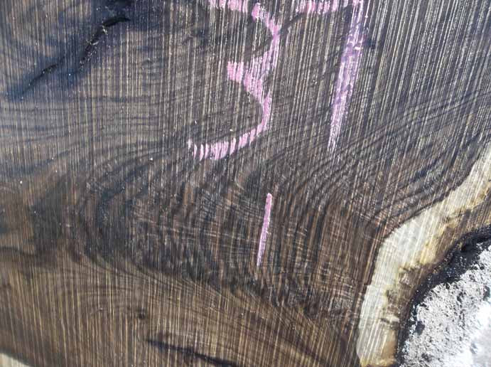 Walnut Slab WALSLB84A