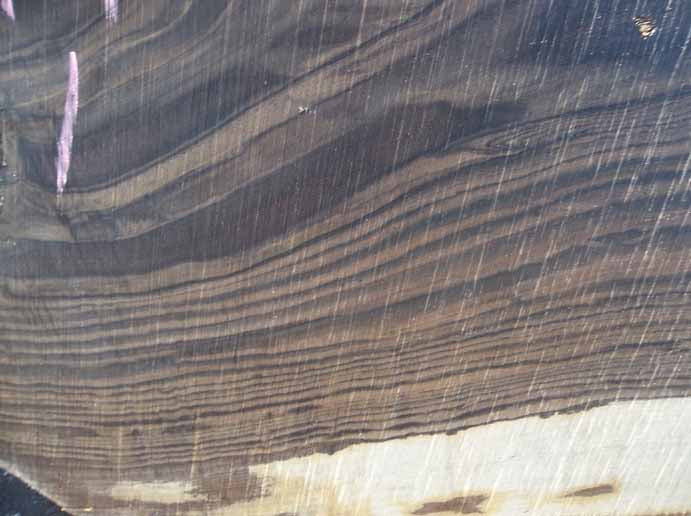 Walnut Slab WALSLB84A