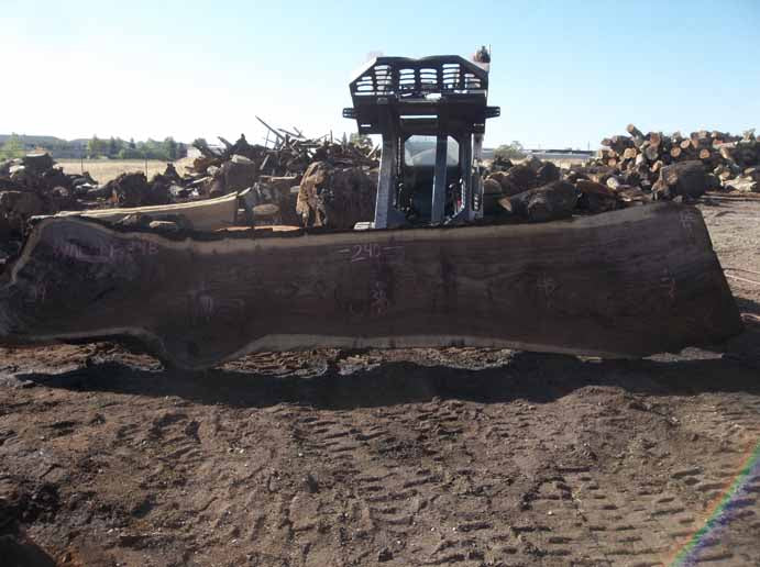 Walnut Slab WALSLB84B