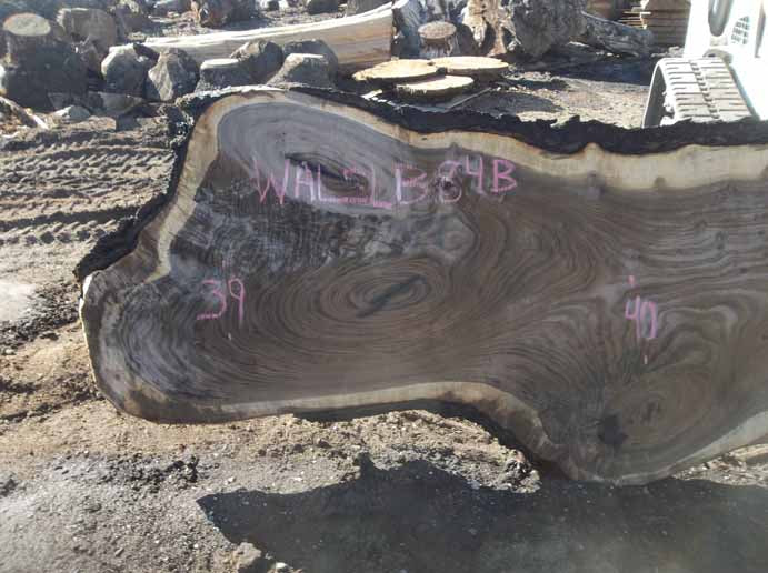 Walnut Slab WALSLB84B