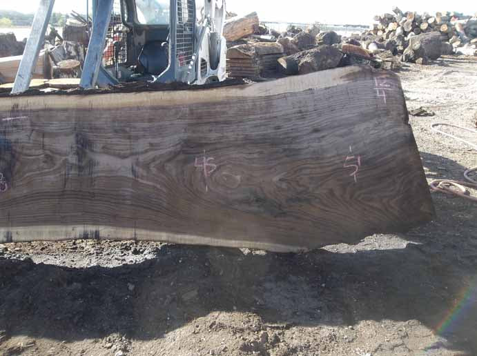 Walnut Slab WALSLB84B