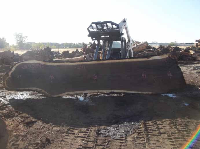 Walnut Slab WALSLB84C