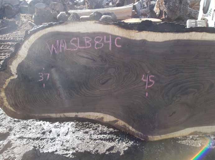 Walnut Slab WALSLB84C