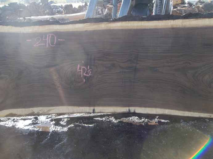 Walnut Slab WALSLB84C